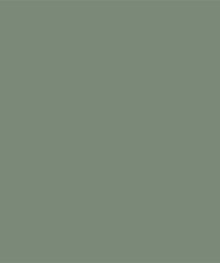 Pale Eucalypt Colorbond Colour