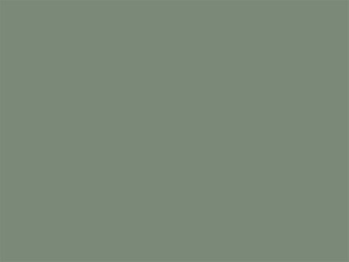 Pale Eucalypt Colorbond Colour